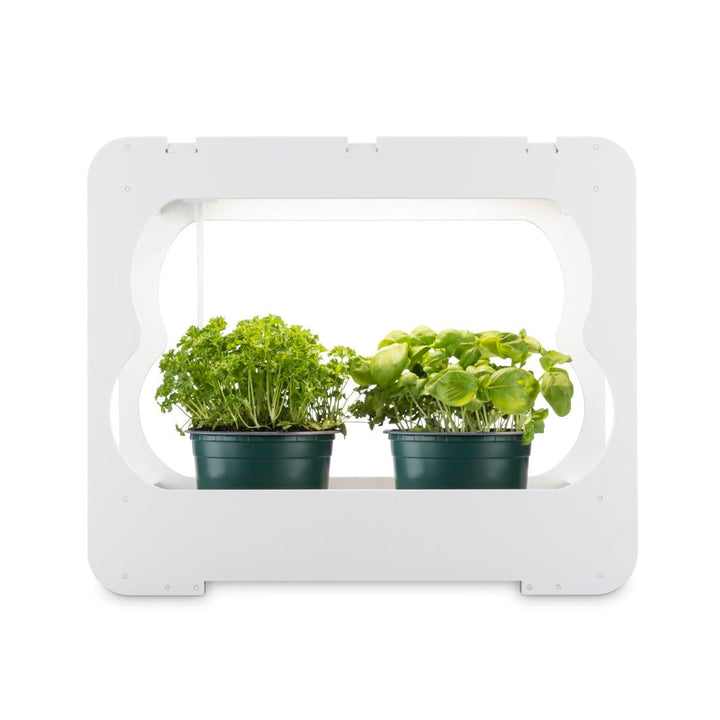Xavax LED Smart Garden Home Gewächshaus Box klein mit Lampe für Balkon, als Anzuchtkasten für Hochbe