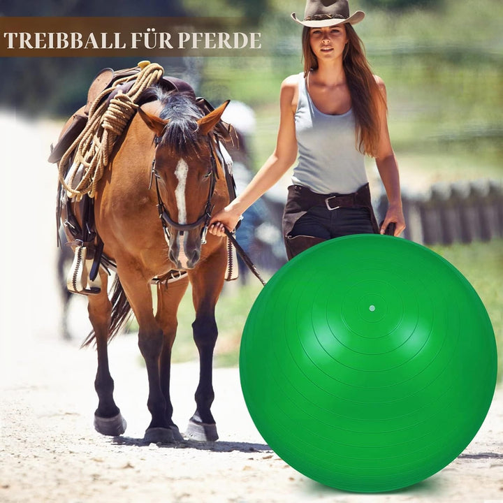 2 Stück 101,6 cm Pferdeball zum Spielen, grosser Pferdeball, grosser Hüteball für Pferde, Anti-Burst