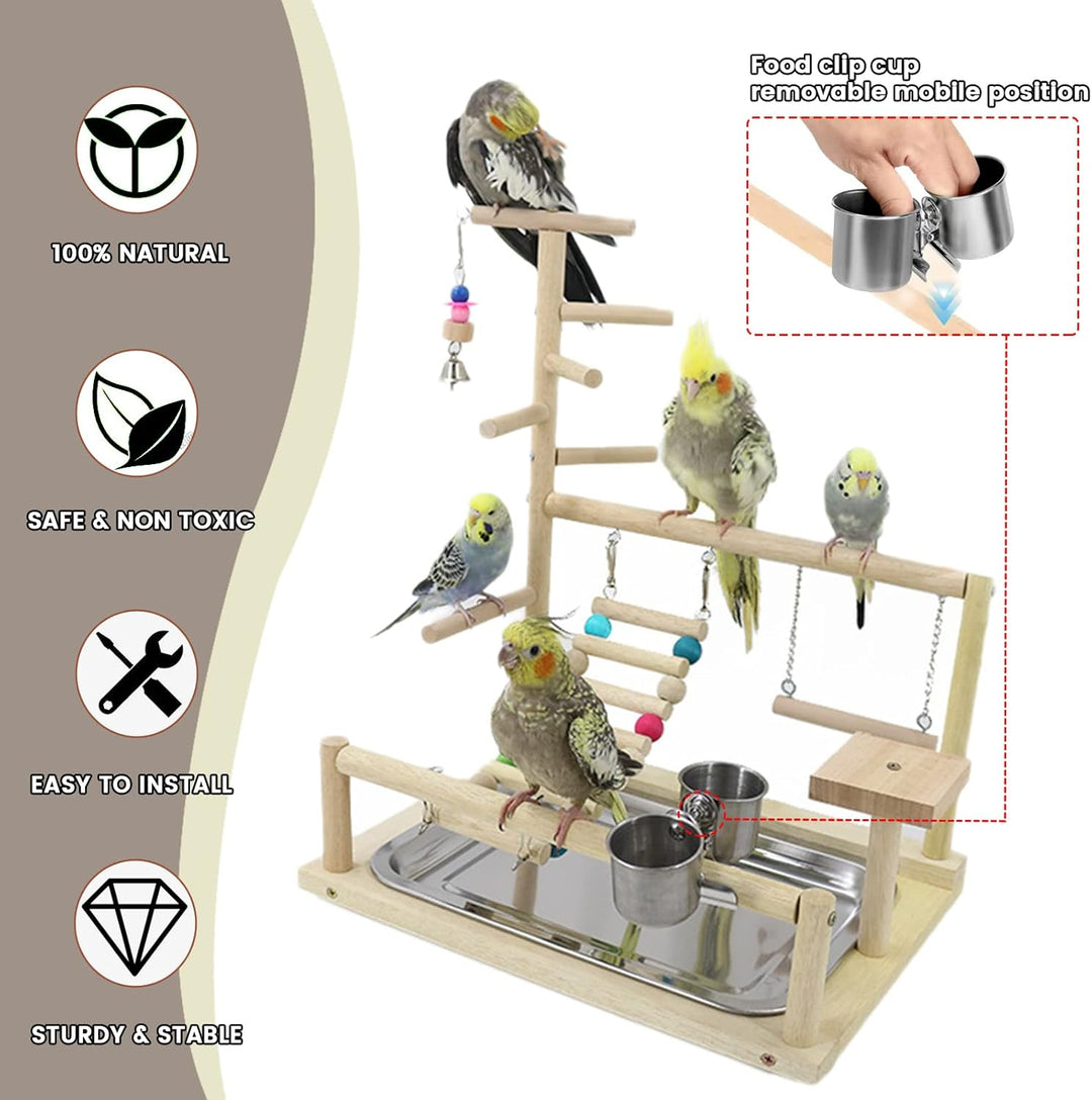Wellensittich Spielplatz Vogel-Spielplatz mit Feeder-Cup Spielzeug Leiter Erklimmen Schaukel und Tab
