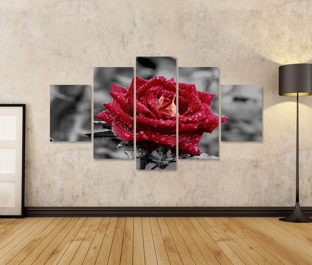 islandburner Bild auf Leinwand Rote Rose Mit Wassertropfen Auf Grauem Hintergrund Bilder Wandbilder