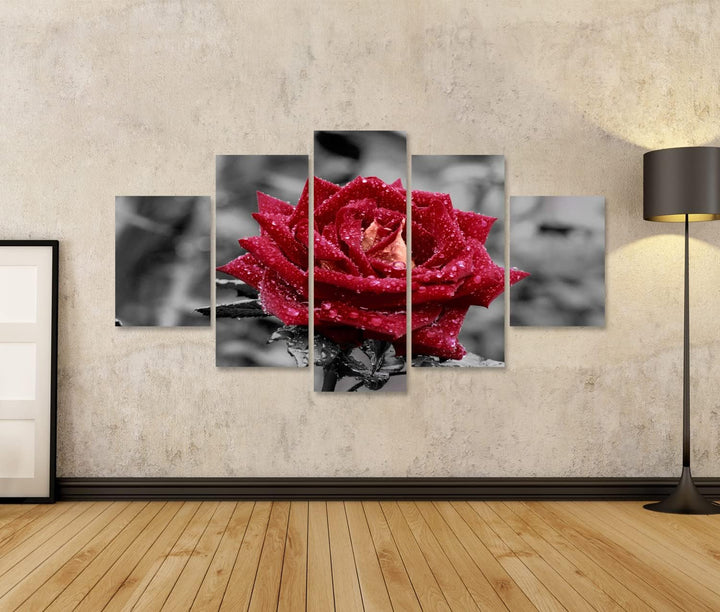 islandburner Bild auf Leinwand Rote Rose Mit Wassertropfen Auf Grauem Hintergrund Bilder Wandbilder