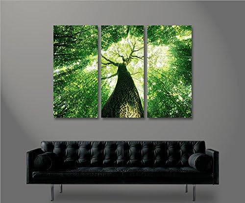 islandburner Bild Bilder auf Leinwand Baumkrone Grün Wald Sonnenstrahlen Bäume 3p XXL Poster Leinwan