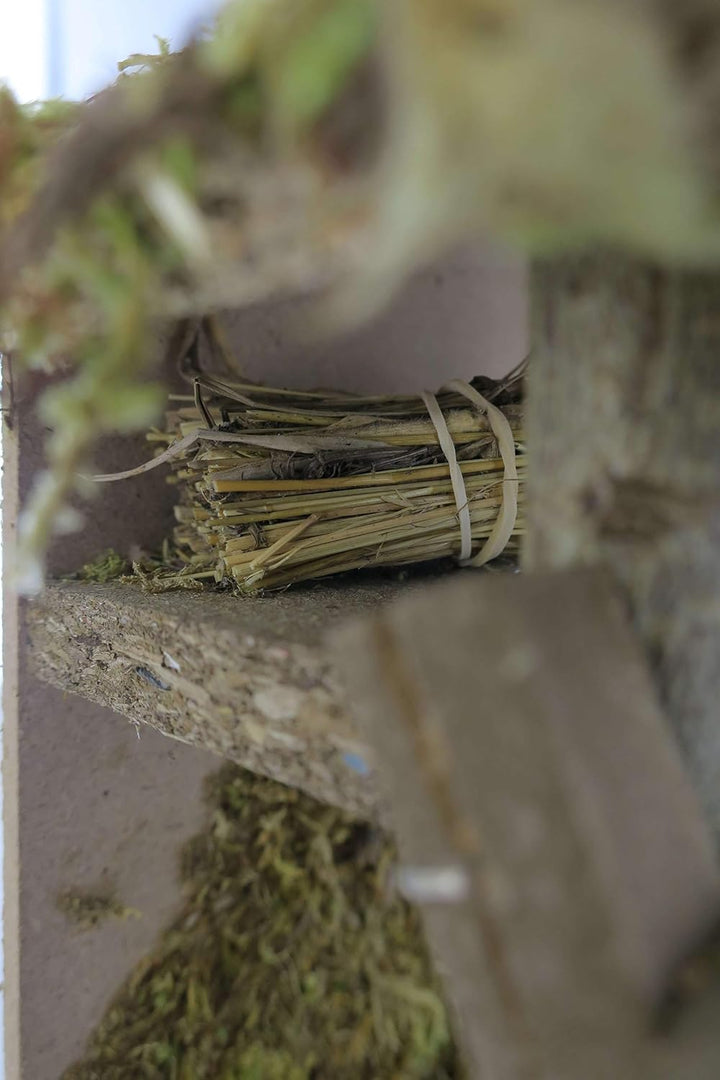 BERTONI Mooshütte aus Holz, Kork, mit Leiter, Mehrfarbig, Einheitsgrösse