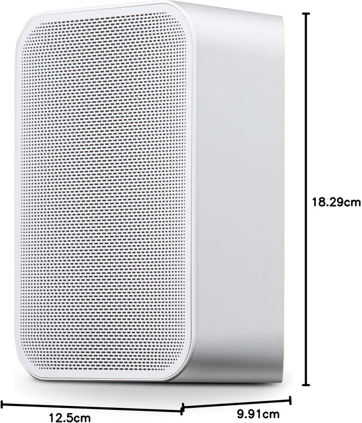 Bluesound Pulse Flex 2i tragbarer kabelloser Streaming-Lautsprecher - Weiss White, White