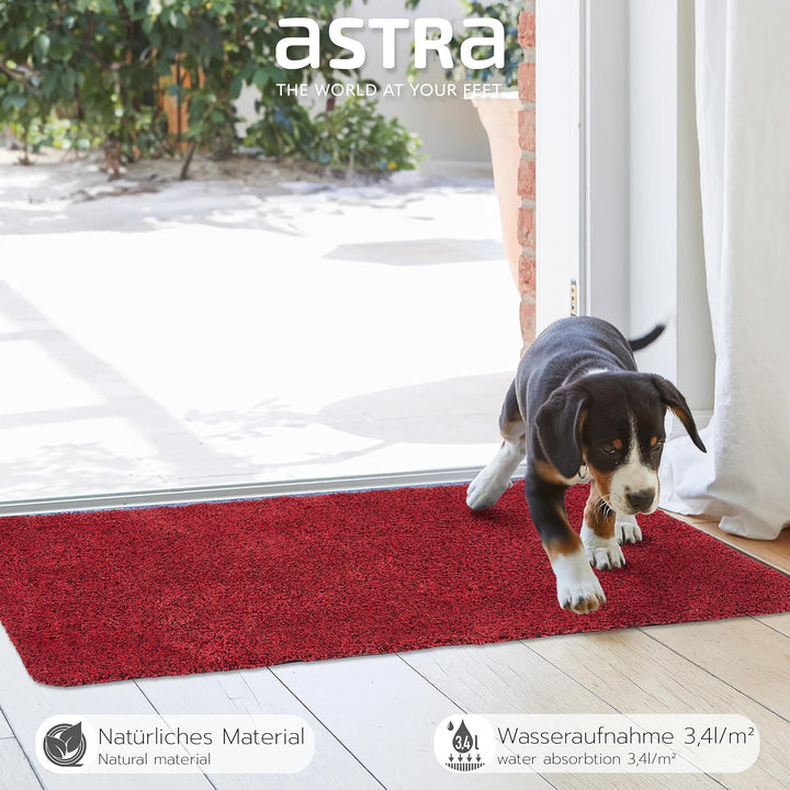 Rutschfeste Schmutzfangmatte innen waschbar - Rot 75 x 130 cm (Rechteckig) | Saugfähige Sauberlaufma