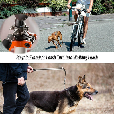 WalkyDog Fahrradstange
