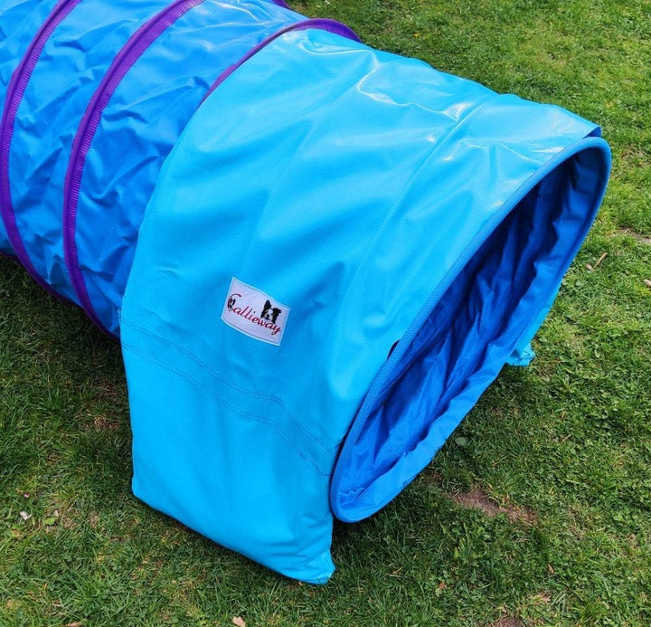 Callieway Agility Tunnel Stützsandsäcke (2er Pack) Standard - org (Cyan 2X)