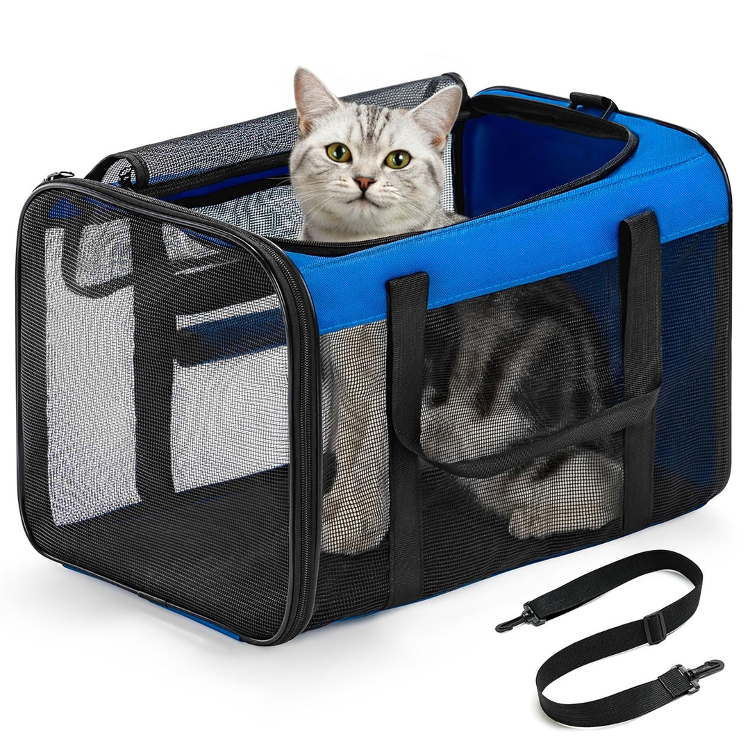 Conlun Katzentransportbox,Weiche Katzentransporttasche mit 4-seitigem Netz, Flugzeugtaugliche Katzen