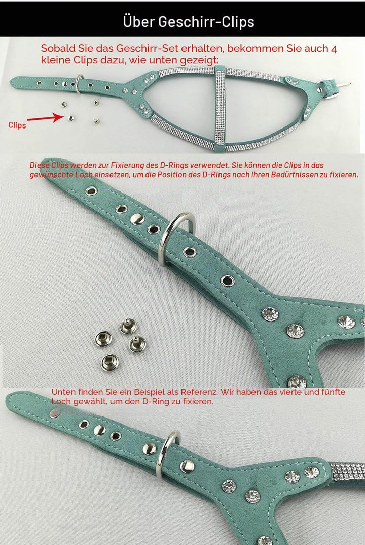 Hundehalsband &amp; Geschirr &amp; Leinen Sets Mode Komfortable Hundehalsband Diamante mit Geschirr &amp; Leinen