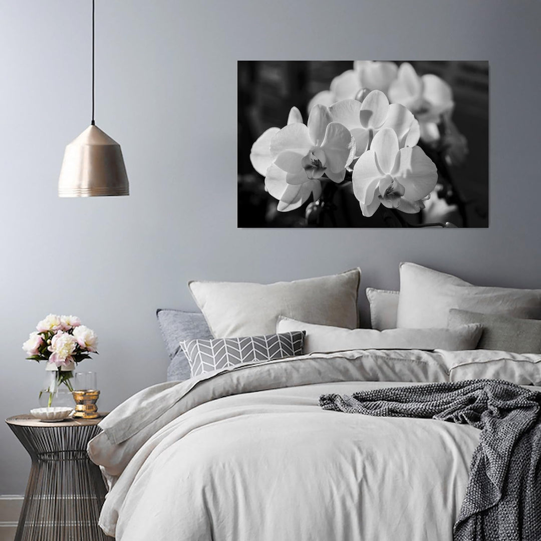 Feeby. Wandbild - 1 Teilig - 50x70 cm, Leinwand Bild Leinwandbilder Bilder Wandbilder Kunstdruck, OR