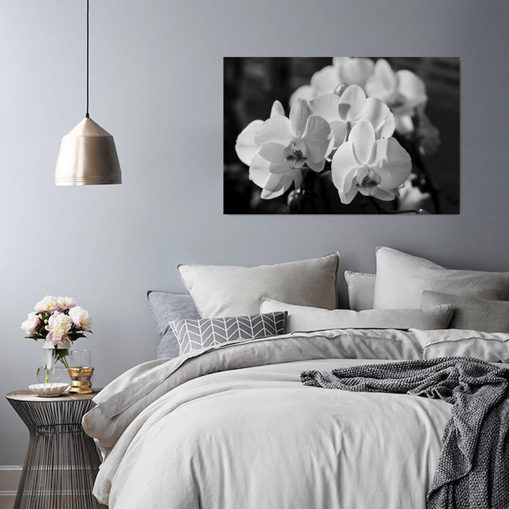 Feeby. Wandbild - 1 Teilig - 50x70 cm, Leinwand Bild Leinwandbilder Bilder Wandbilder Kunstdruck, OR