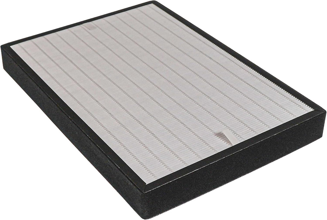 vhbw 2X Filter kompatibel mit Comedes LR 700 Luftbefeuchter - Luftfilter