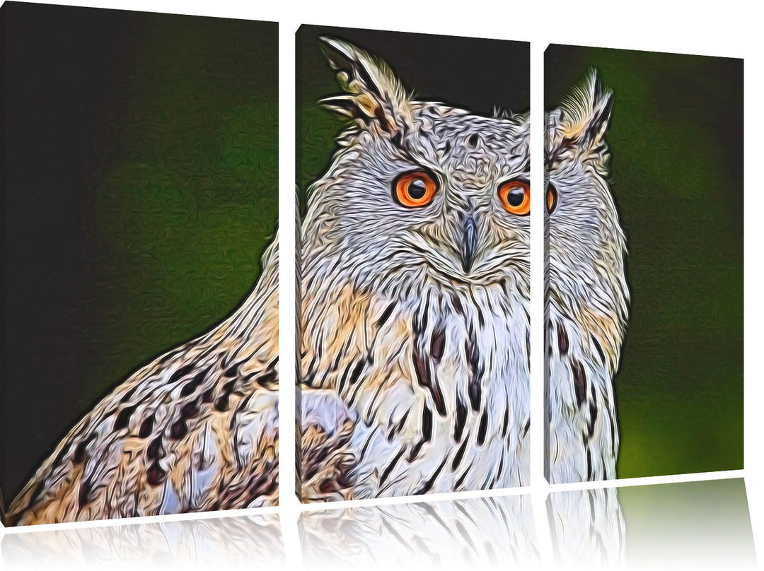 aufmerksame Waldohreule NewArt 3-Teiler Leinwandbild 120x80 Bild auf Leinwand, XXL riesige Bilder fe