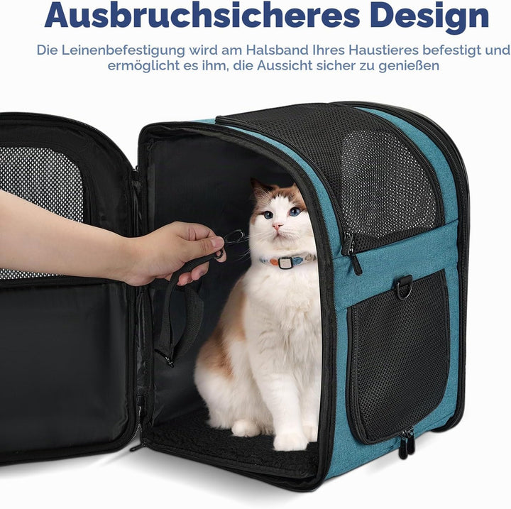 apollo walker HundeRucksack und KatzenRucksack für Kleine Haustiere(Belastbarkeit 2-15kg) - Gepolste