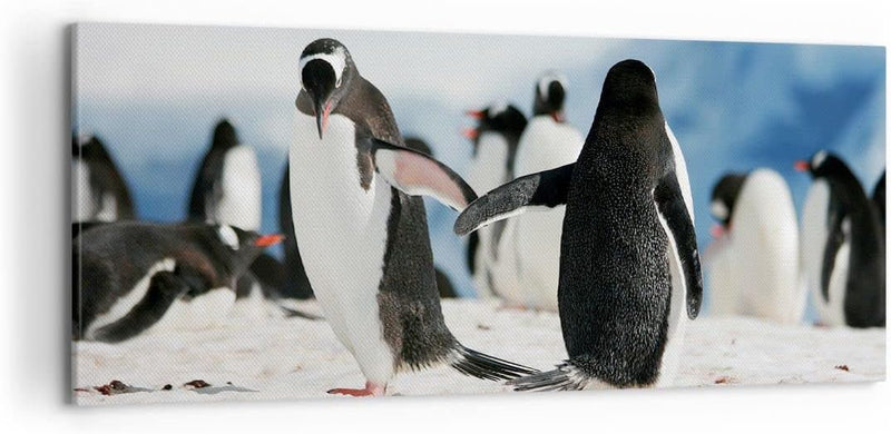 Wandbilder Dekoration Wohnzimmer Pinguine Winter Natur Schnee Panorama Bilder auf Leinwand 120x50cm