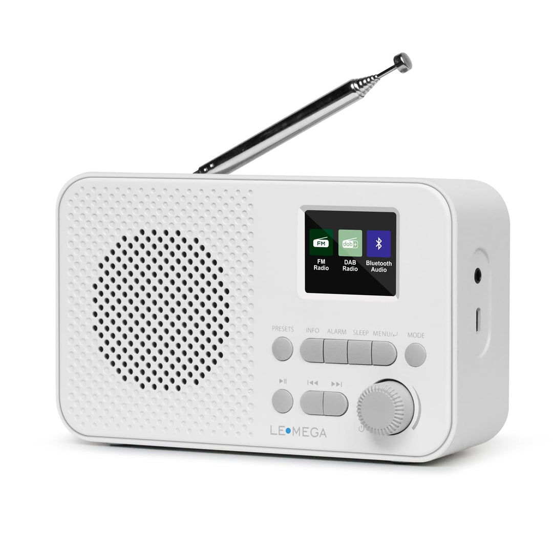 LEMEGA DAB GO Plus Radio (Steingrau, DAB GO) Steingrau DAB GO, Steingrau DAB GO