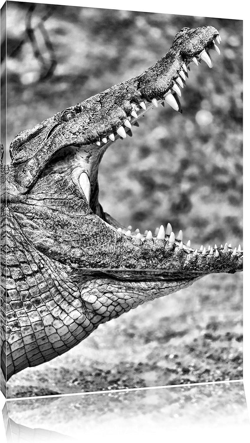 Pixxprint gewaltiges Krokodil als Leinwandbild/Grösse: 100x70 cm/Wandbild/Kunstdruck/fertig bespannt