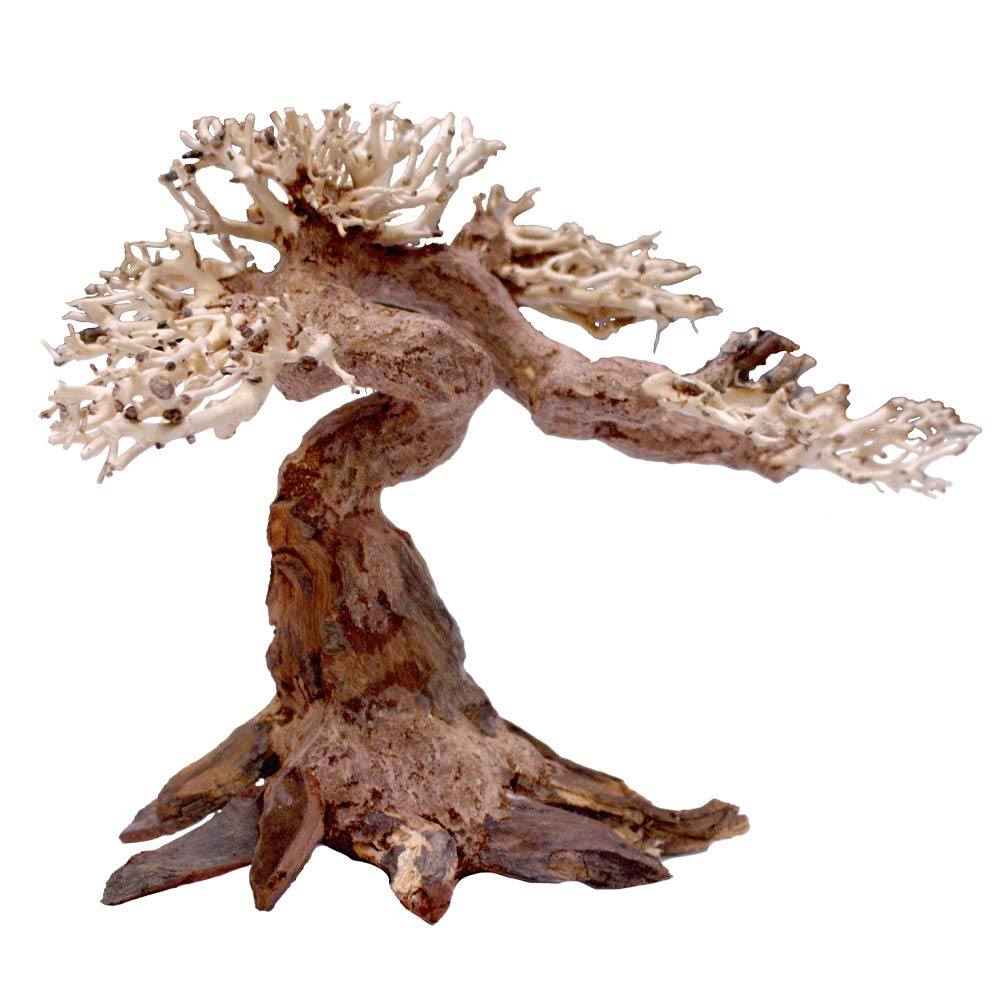 Amtra - Oriental Wind 5 Holz, handgefertigt, für Aquarien, 25x10x18 cm, Small mehrfarbig Small, mehr
