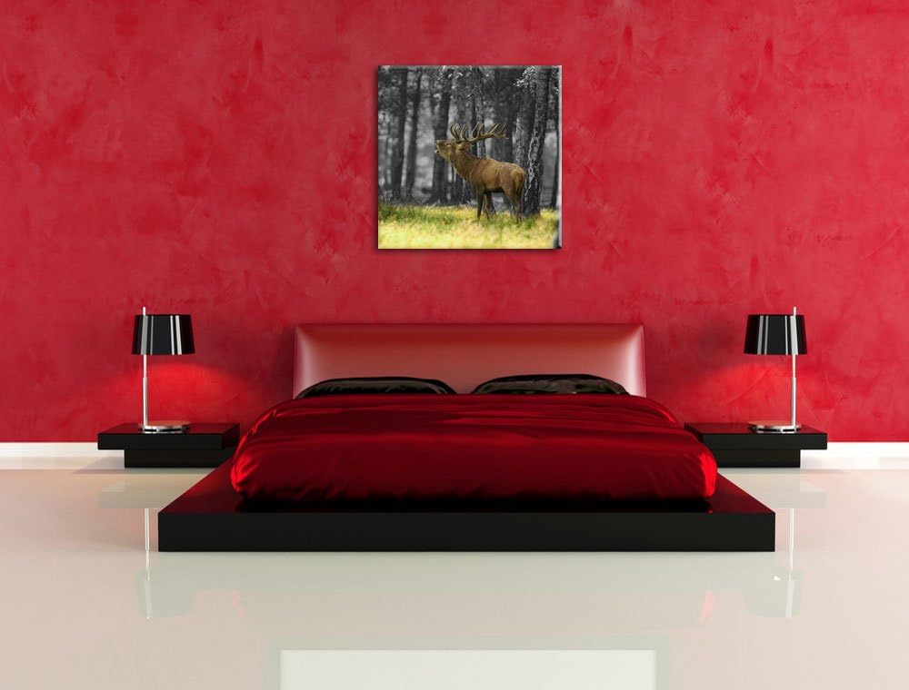 Pixxprint röhrender Hirsch im Wald schwarz/weiss, Format: 70x70 auf Leinwand, 70x70