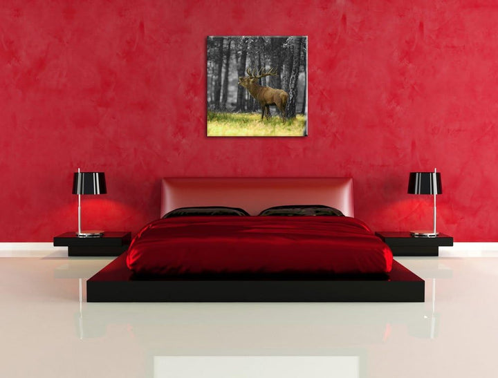 Pixxprint röhrender Hirsch im Wald schwarz/weiss, Format: 70x70 auf Leinwand, 70x70