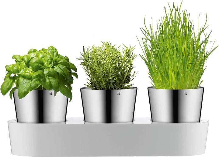 WMF Gourmet Kräutertopf mit Bewässerungssystem 3-teilig, Kräutergarten für die Küche, 36x 12,5x 12,5