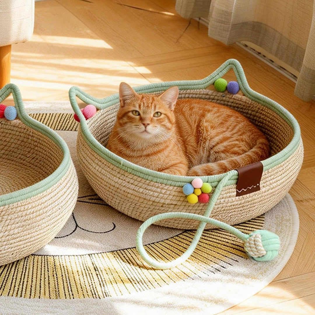 Katze Schlafplatz - Waschbares Ganzjahres-Körbchen für Katzenbabys,Katzenschlafkorb mit Kratzfläche