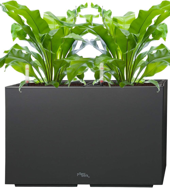 Pflanzwerk® ÖKOSYSTEM Pflanzkübel TUB - Blumentöpfe Übertöpfe mit BEWÄSSERUNGSSYSTEM - 32x56x28cm AN