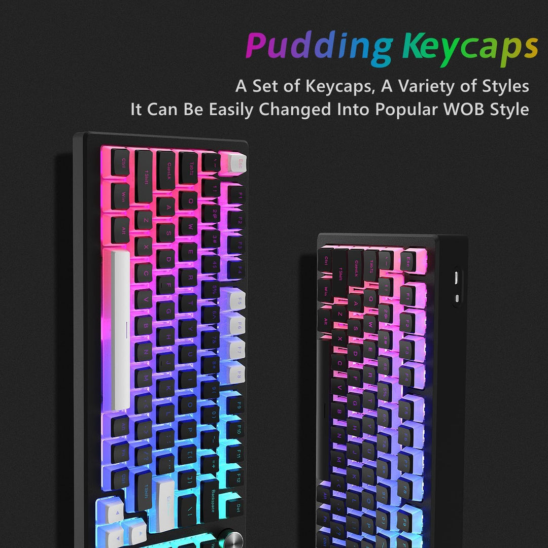 XVX Pudding Keycaps,141+24 Custom Keys Set, OEM Profile, Universal Compatiability for 100%, 75%, 65%