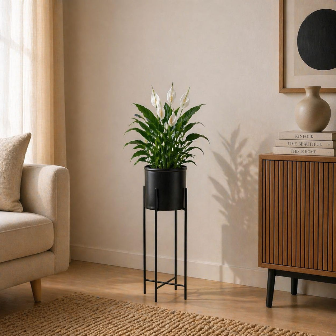 Moderne Blumenständer Metall 75 cm Hoch mit Schwarz Blumentopf Rund 21 cm Ø auf Robuste Ständer - Pf