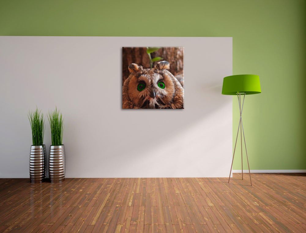 Pixxprint Wachsame Eule, Format: 70x70 auf Leinwand, XXL riesige Bilder fertig gerahmt mit Keilrahme
