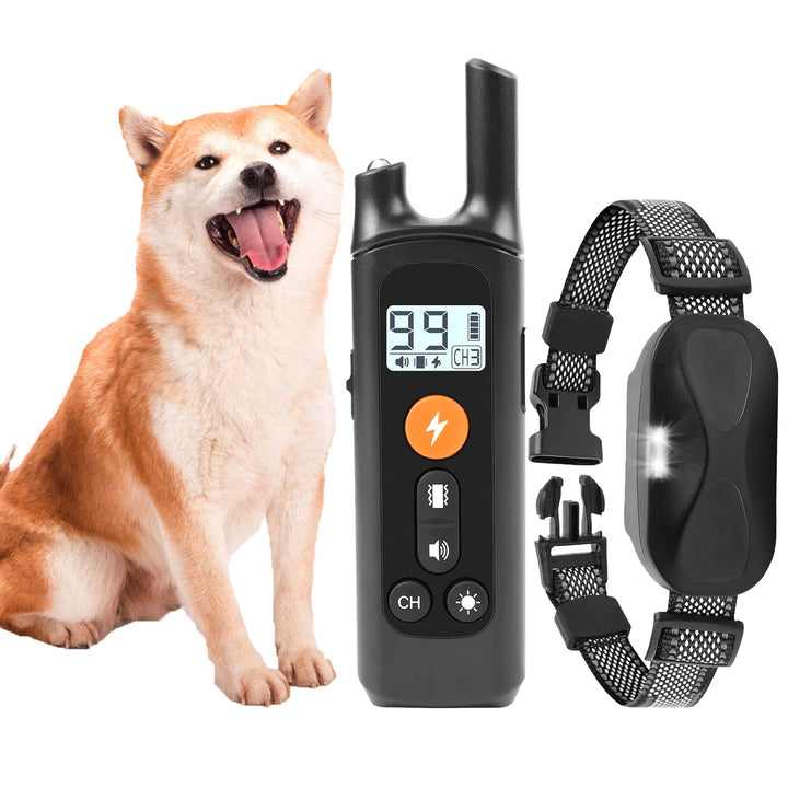 Generisch EAgility-Ausrüstung für das Hundetraining,Die Trainingseinrichtungen,2025 Hilfsmittel zur