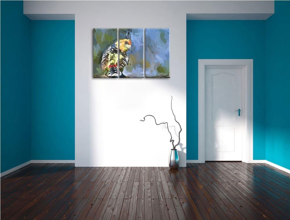 schöner Hauben-Bartvogel NewArt 3-Teiler Leinwandbild 120x80 Bild auf Leinwand, XXL riesige Bilder f