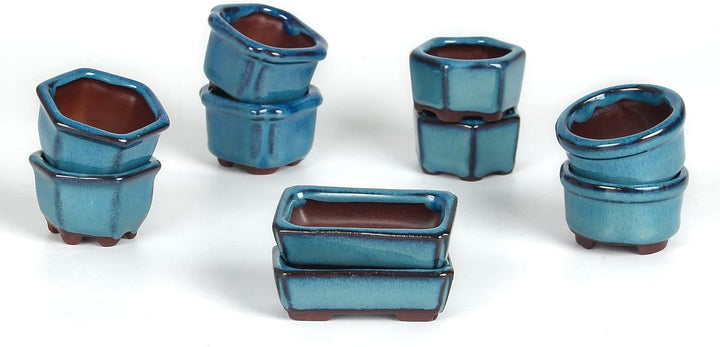Happy Bonsai 4,5 cm, 10 Mini-glasierte Töpfe Blau, Blau