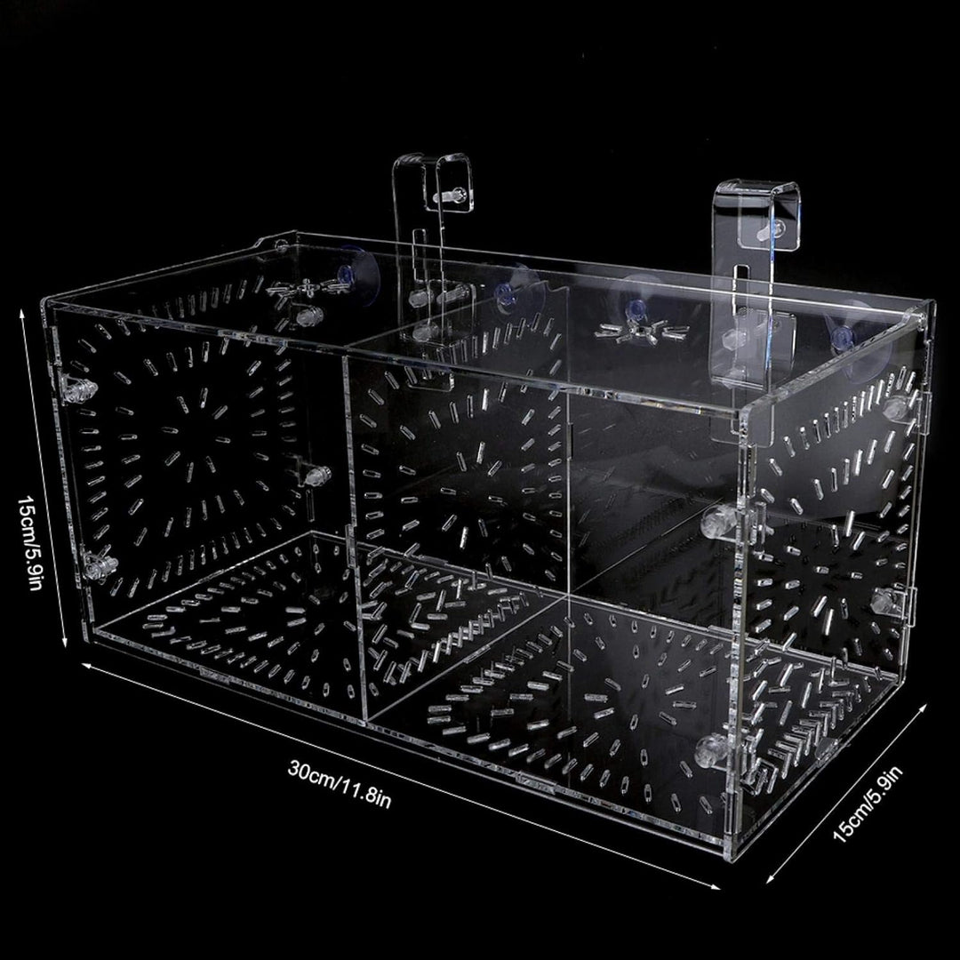 Pssopp Aquarium Zuchtbox Fischsämlinge Inkubator Aquarium Isolationsbox Aquarium Brutbrut Fischteile
