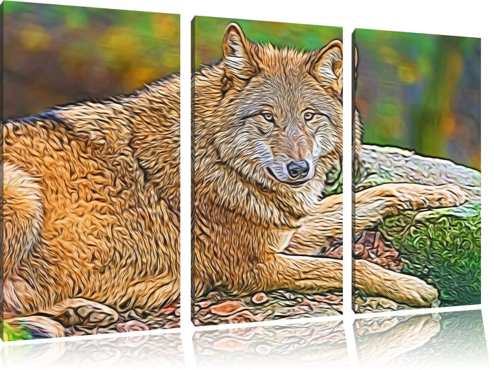 stolzer Wolf auf Stein Spezial 3-Teiler Leinwandbild 120x80 Bild auf Leinwand, XXL riesige Bilder fe