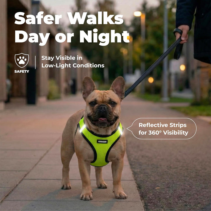 Voyager Step-In Air-Hundegeschirr – Allwetter-Mesh-Weste für kleine und mittelgrosse Hunde und Katze