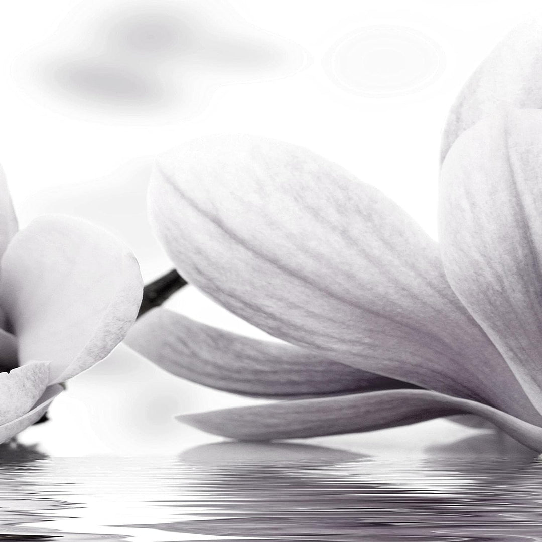 Runa Art Wandbilder Blumen Magnolien 5 Teilig Bild auf Vlies Leinwand Deko Wohnzimmer Spa Schwarz We