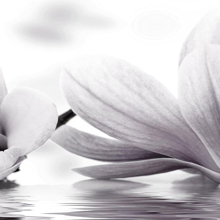 Runa Art Wandbilder Blumen Magnolien 5 Teilig Bild auf Vlies Leinwand Deko Wohnzimmer Spa Schwarz We