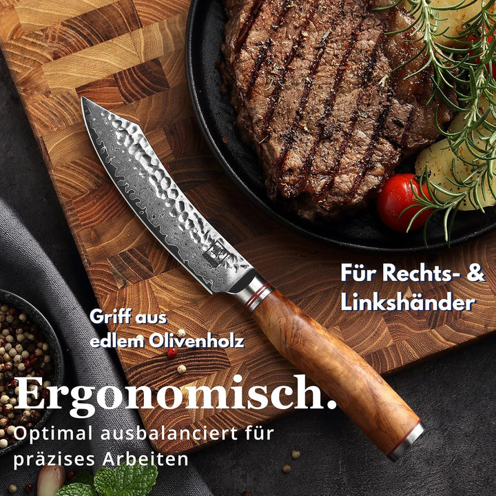 zayiko Minami Damast Steakmesser mit 12 cm Klinge aus 67 Lagen Damaststahl, VG10 Kern, Hammerschlag,