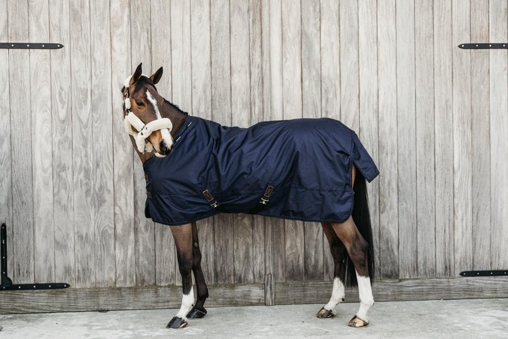 Kentucky Horsewear All Weather Waterproof Pro Turnout 160g - Marine 125 Marineblau, 125 Marineblau