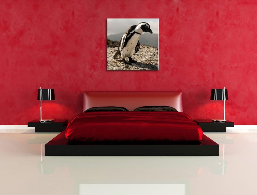 Pixxprint Afrikanischer Pinguin beobachtet als Leinwandbild/Grösse: 70x70 cm/Wandbild/Kunstdruck/fer