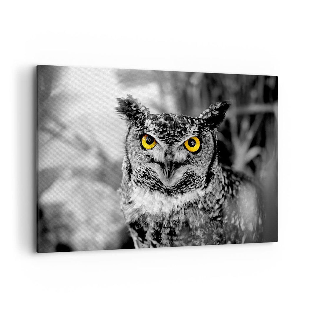 Bilder auf Leinwand 100x70cm Leinwandbild mit Rahmen Eule Vogel Natur Gross Wanddeko Bild Schlafzimm
