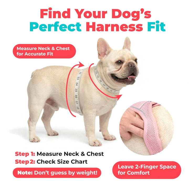 Best Pet Supplies Voyager Step-In Air Hundegeschirr – Allwetter-Netzgewebe für kleine und mittelgros