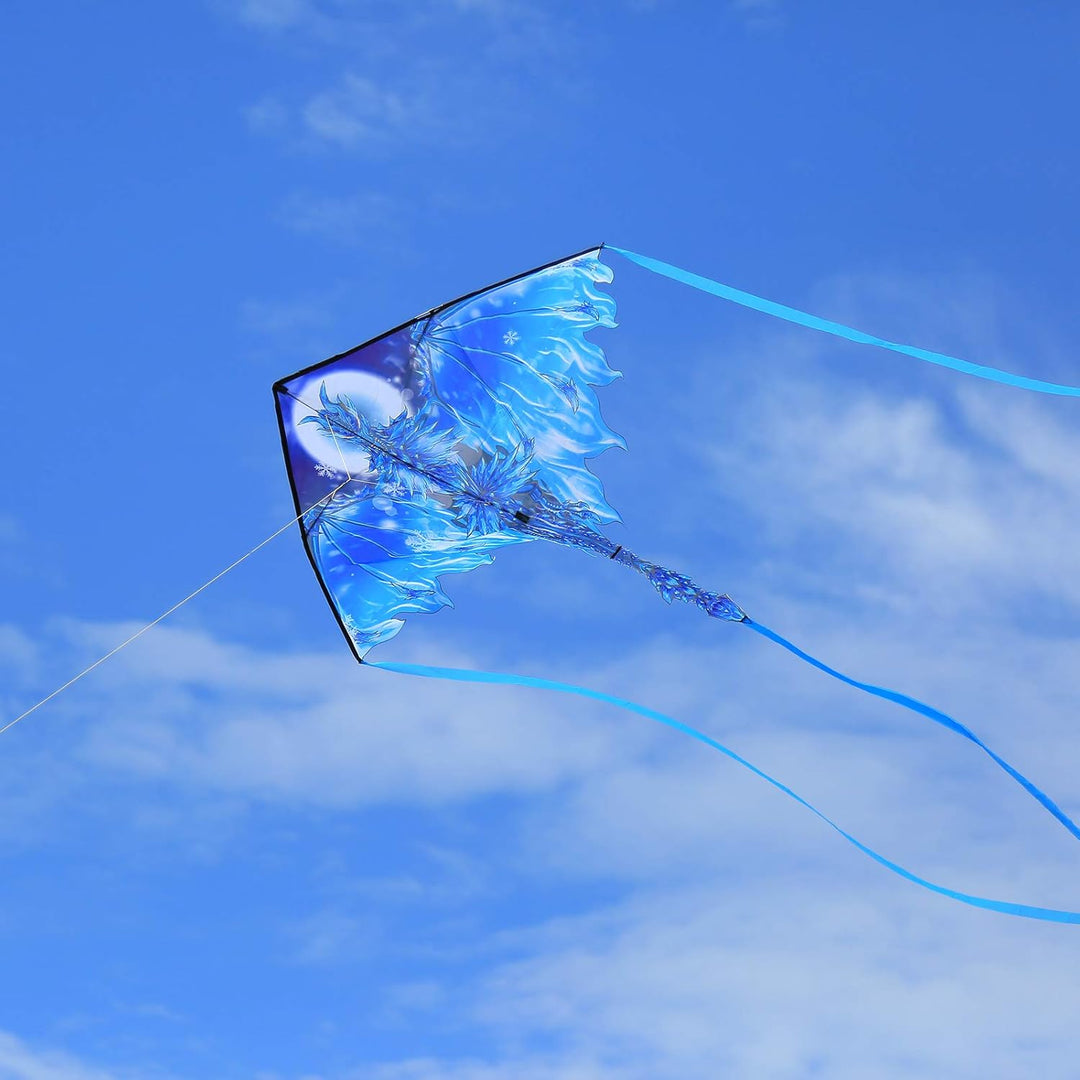 Mint's Colorful Life Drachen Drache für Kinder Erwachsene, einleiner flugdrachen Bester Gross Beach
