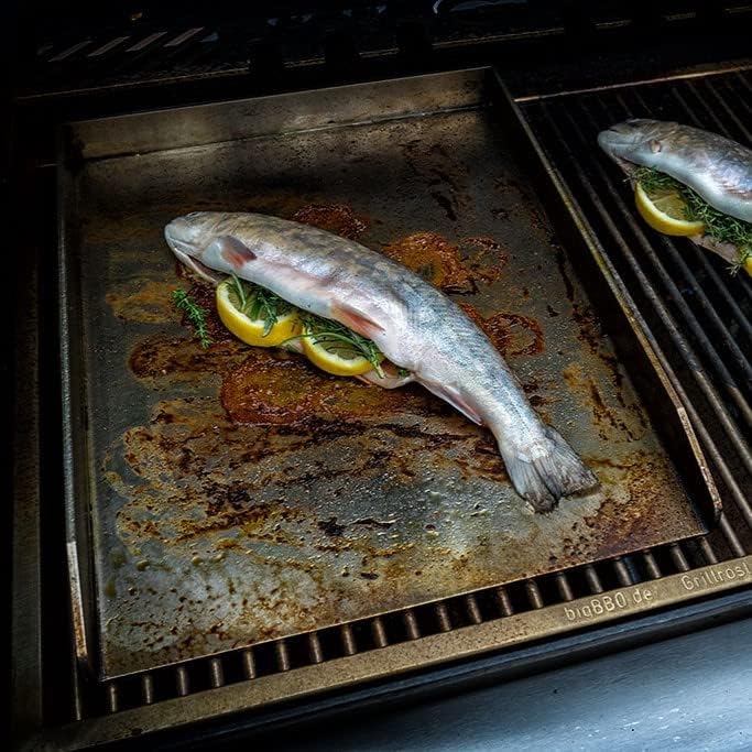 Edelstahl Grillplatte | Plancha 40x30cm - Universalgrösse | 4mm Massiv - Made in Germany, 40x30cm -