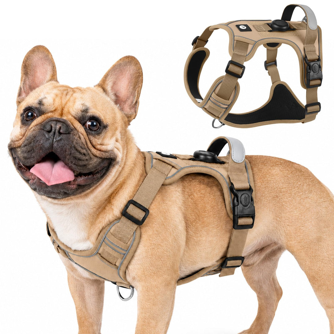 Hundegeschirr mit AirTag-Halter für Kleine Mittelgrosse Grosse Hunde, Anti Zug Geschirr Hund mit Gri