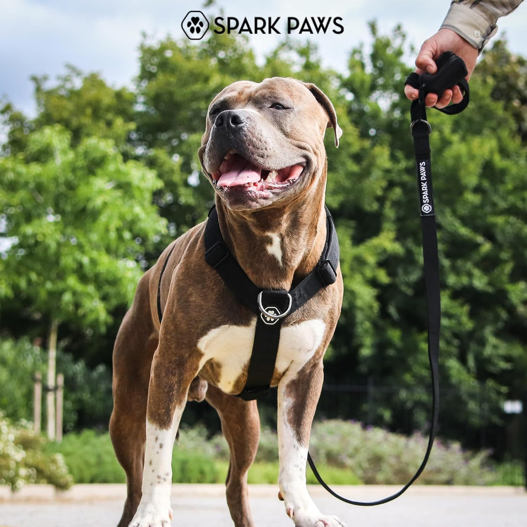 Spark Paws No Pull Hundegeschirr mit Griff für grosse Hunde, strapazierfähiges Hundegeschirr für gro