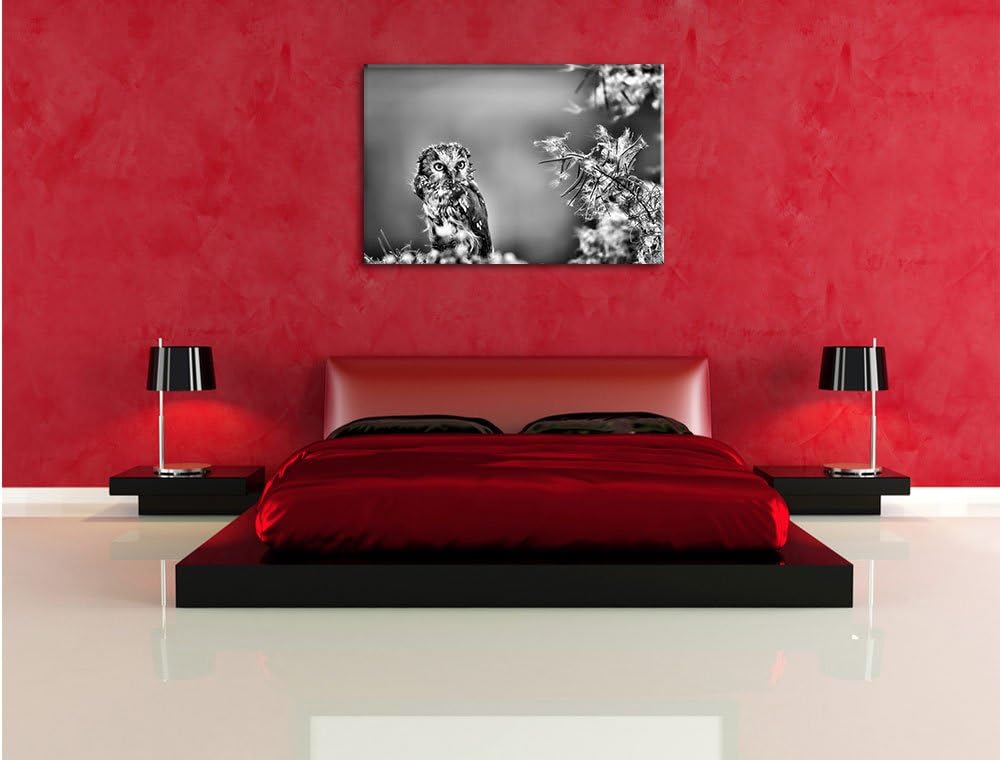 Pixxprint Kauz bestaunt Blatt / 100x70cm Leinwandbild bespannt auf Holzrahmen/Wandbild Kunstdruck De