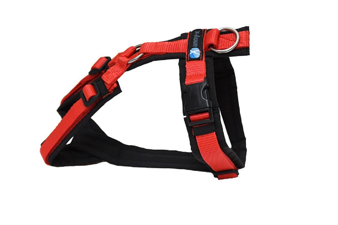 anny-x Brustgeschirr Fun schwarz rot - Gr. L schwarz rot L, schwarz rot L