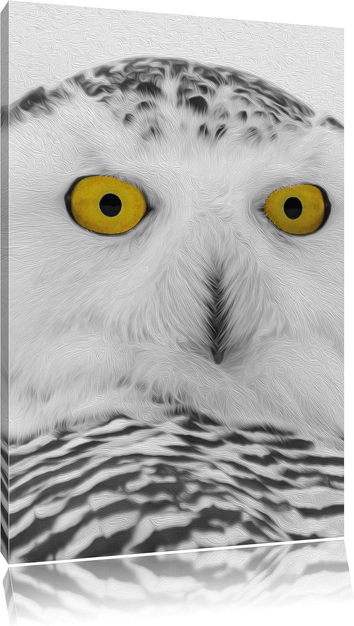 Pixxprint grosse Schnee Eule / 100x70cm Leinwandbild bespannt auf Holzrahmen/Wandbild Kunstdruck Dek